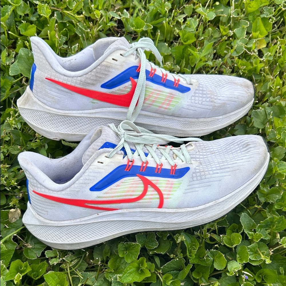 Nike Pegasus